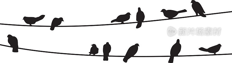 Bird on Wire黑色矢量